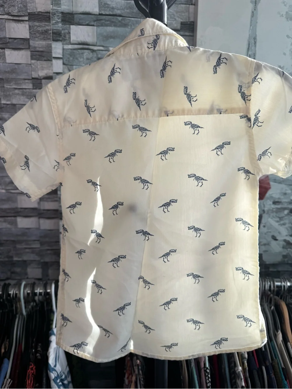 Bold Blue cream short